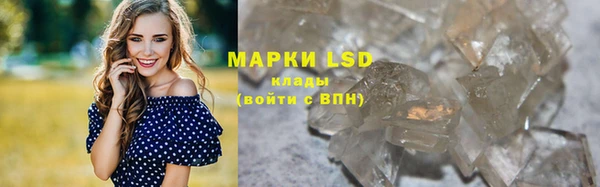 ГАЛЛЮЦИНОГЕННЫЕ ГРИБЫ Алзамай